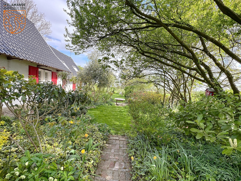 Maison 4 chambres à Morbecque – photo 2