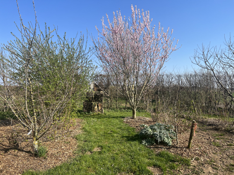 Propriete 4 chambres à Steenvoorde – photo 3