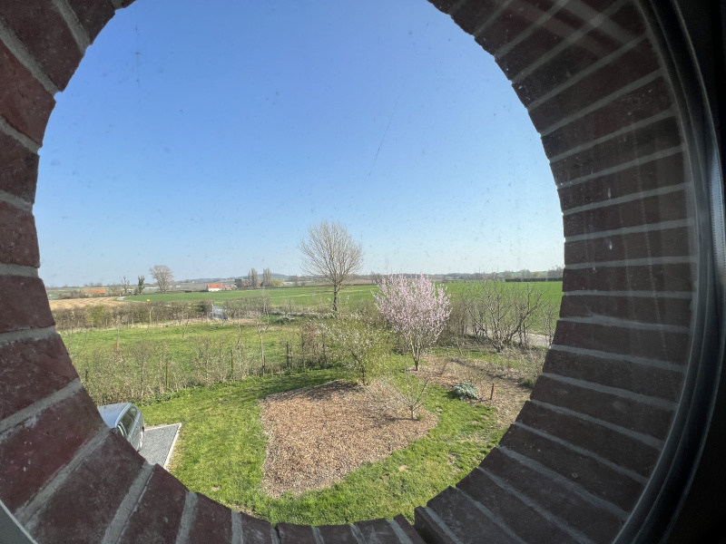 Propriete 4 chambres à Steenvoorde – photo 7