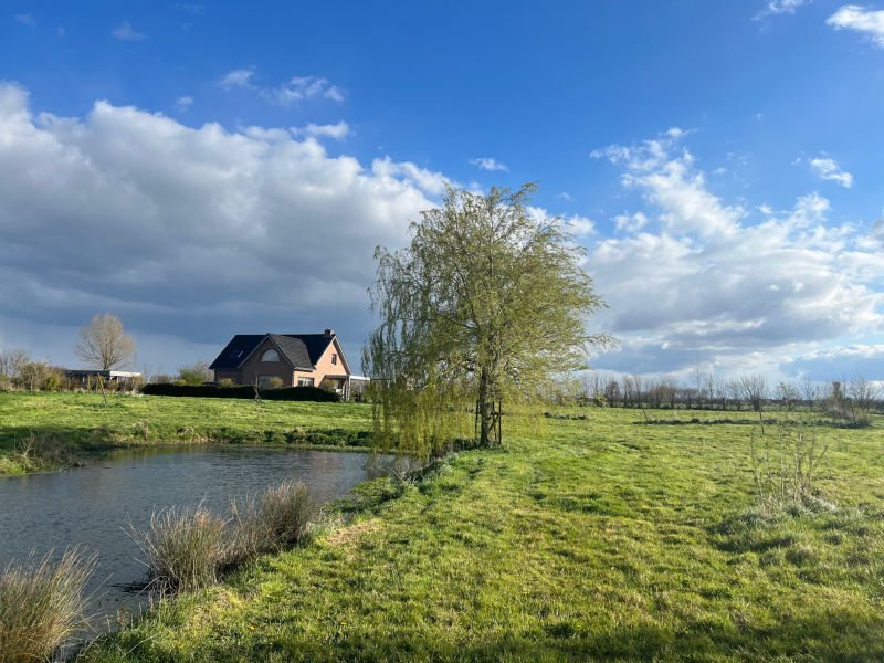 Propriete 4 chambres à Steenvoorde – photo 2