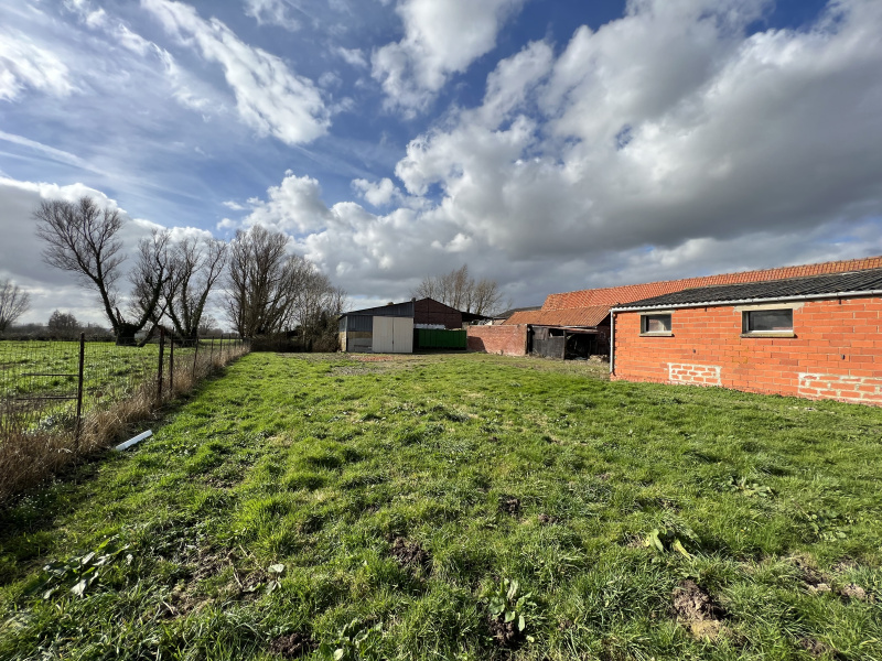 Maison 4 chambres à Morbecque – photo 2