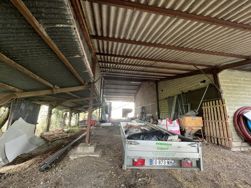Maison 4 chambres à Morbecque – photo 5