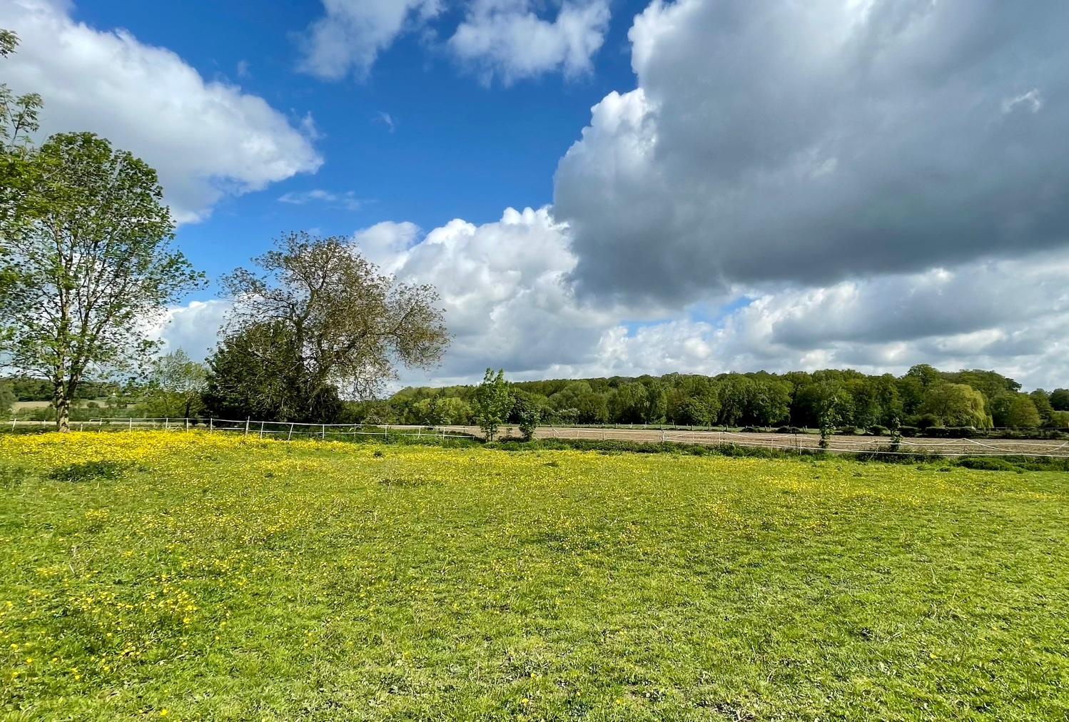 Illustration 4 VENDU