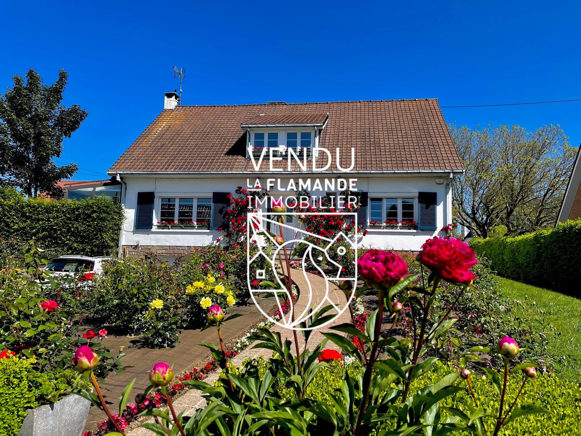 Illustration 0 VENDU