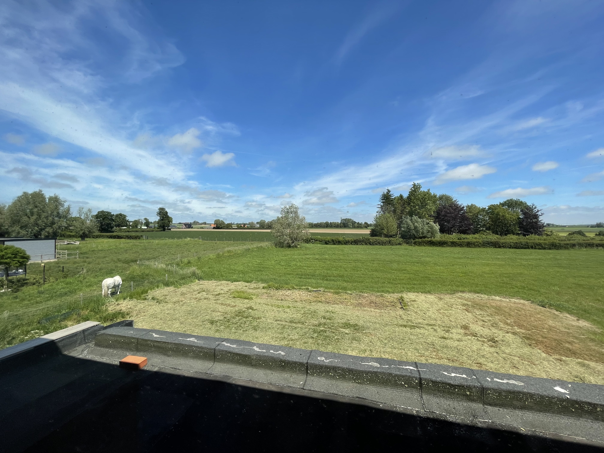 Illustration 9 VENDU