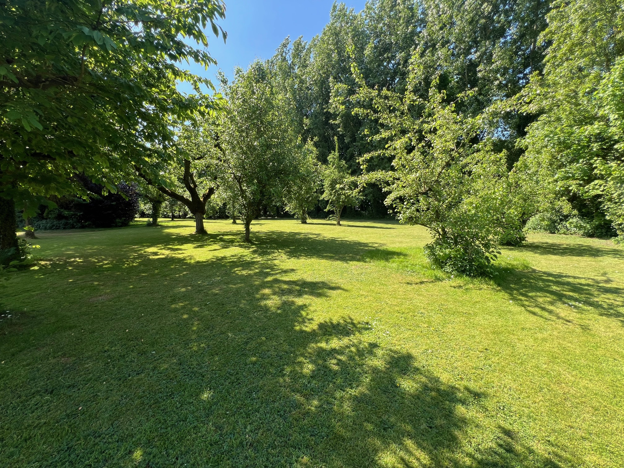 Illustration 13 Exclu - Ancien corps de ferme sur 1,2 hectare