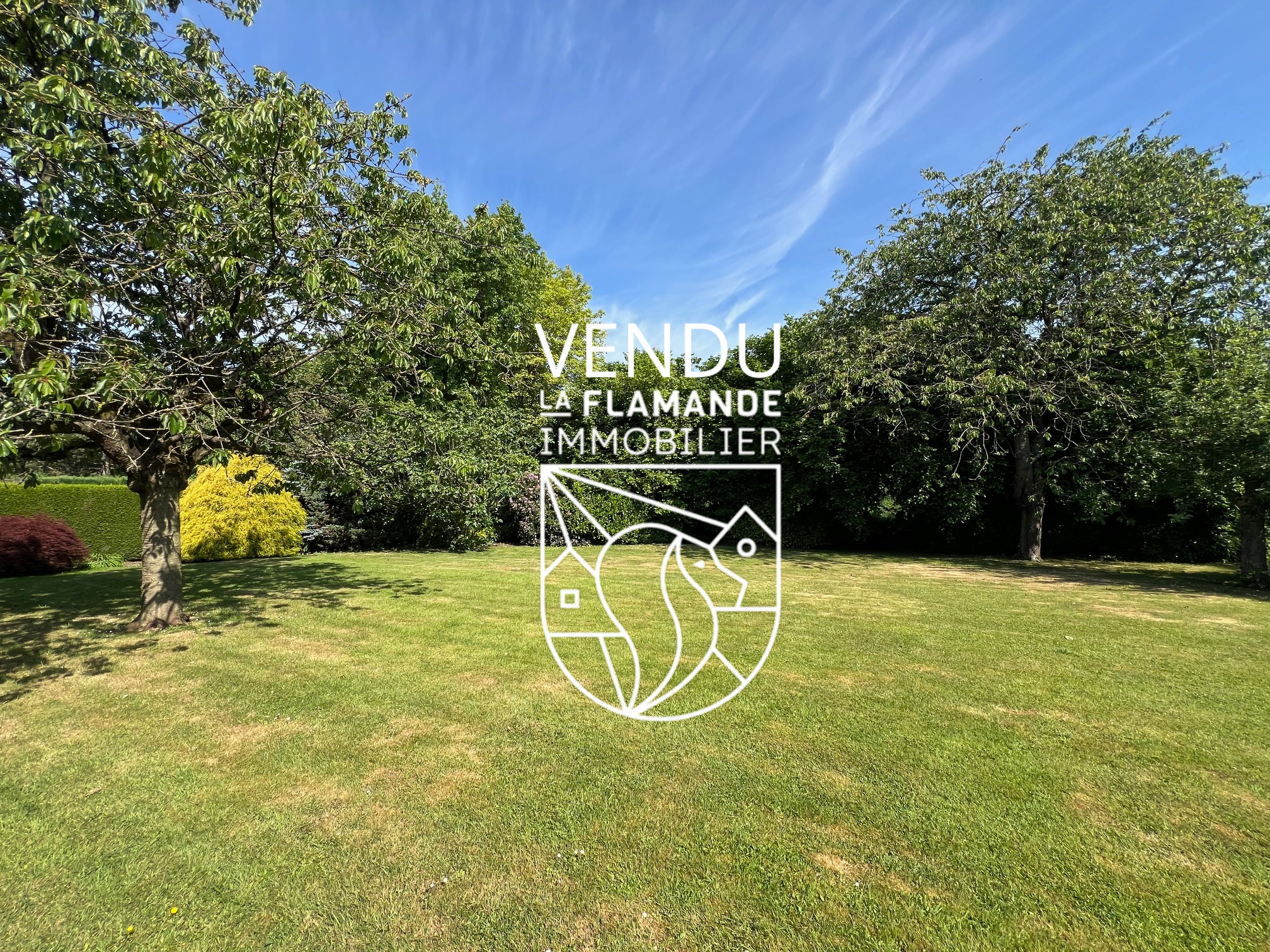 Illustration 13 VENDU