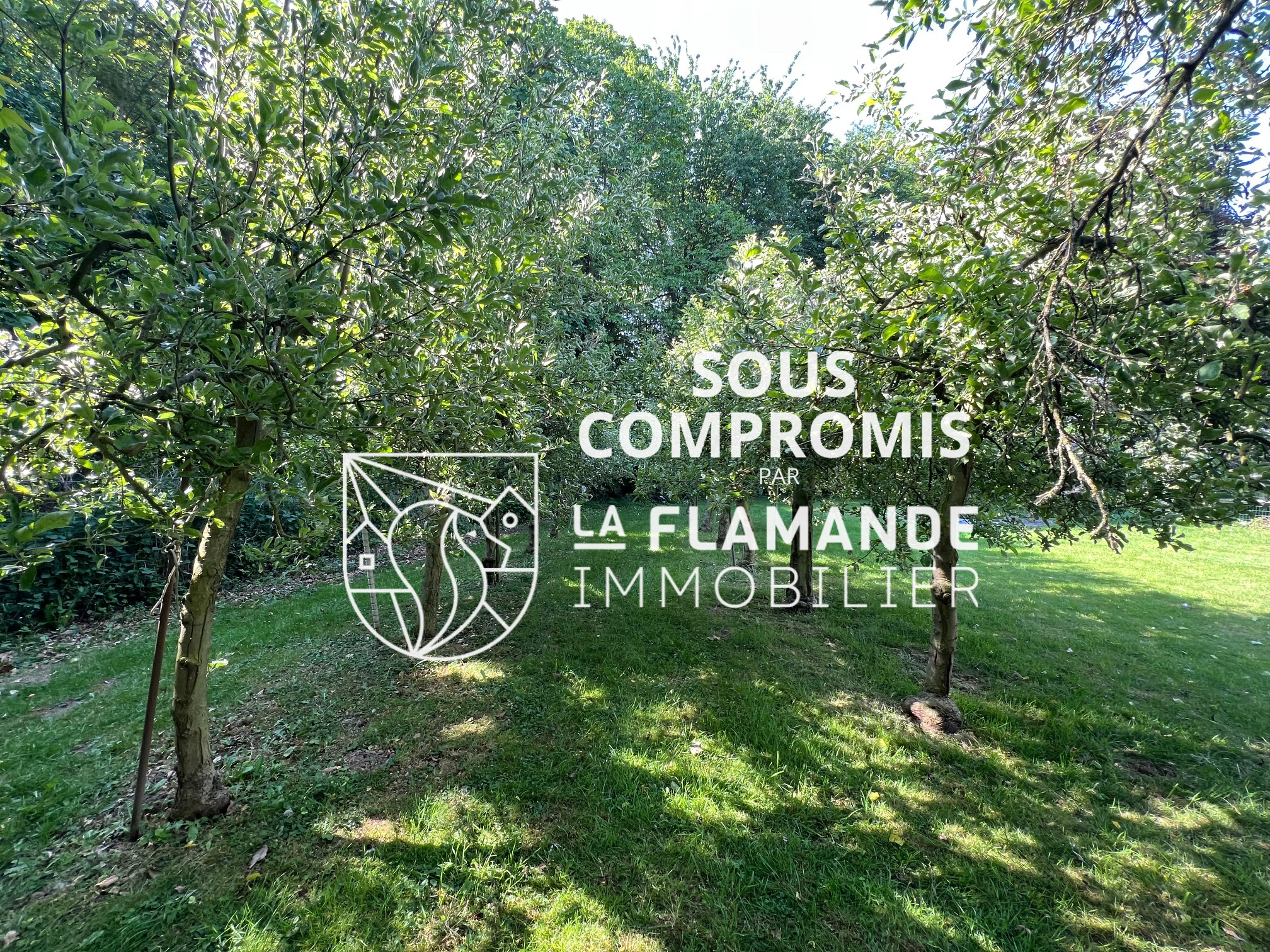 Illustration 15 SOUS COMPROMIS