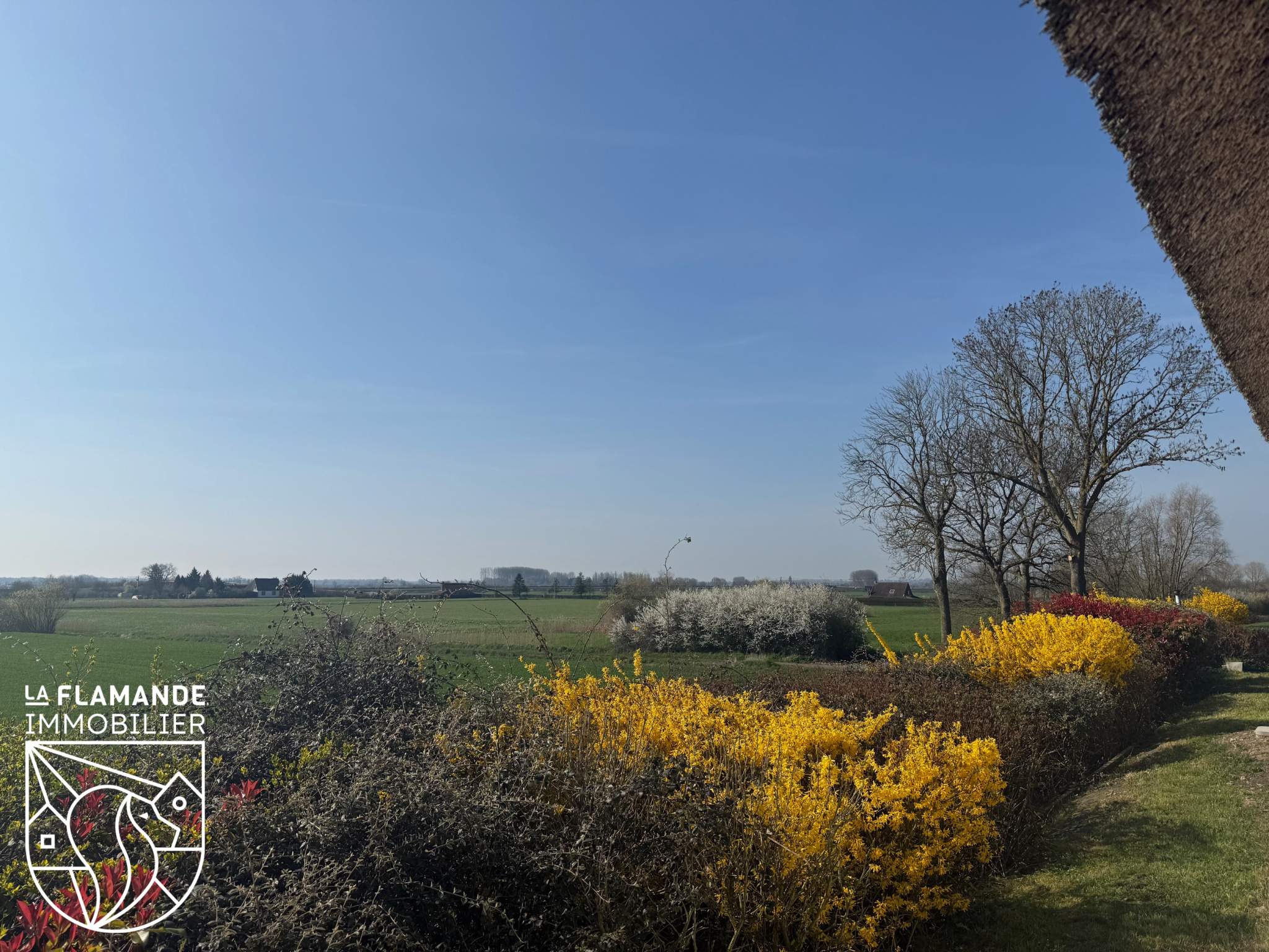 Illustration 17 Propriété d'exception