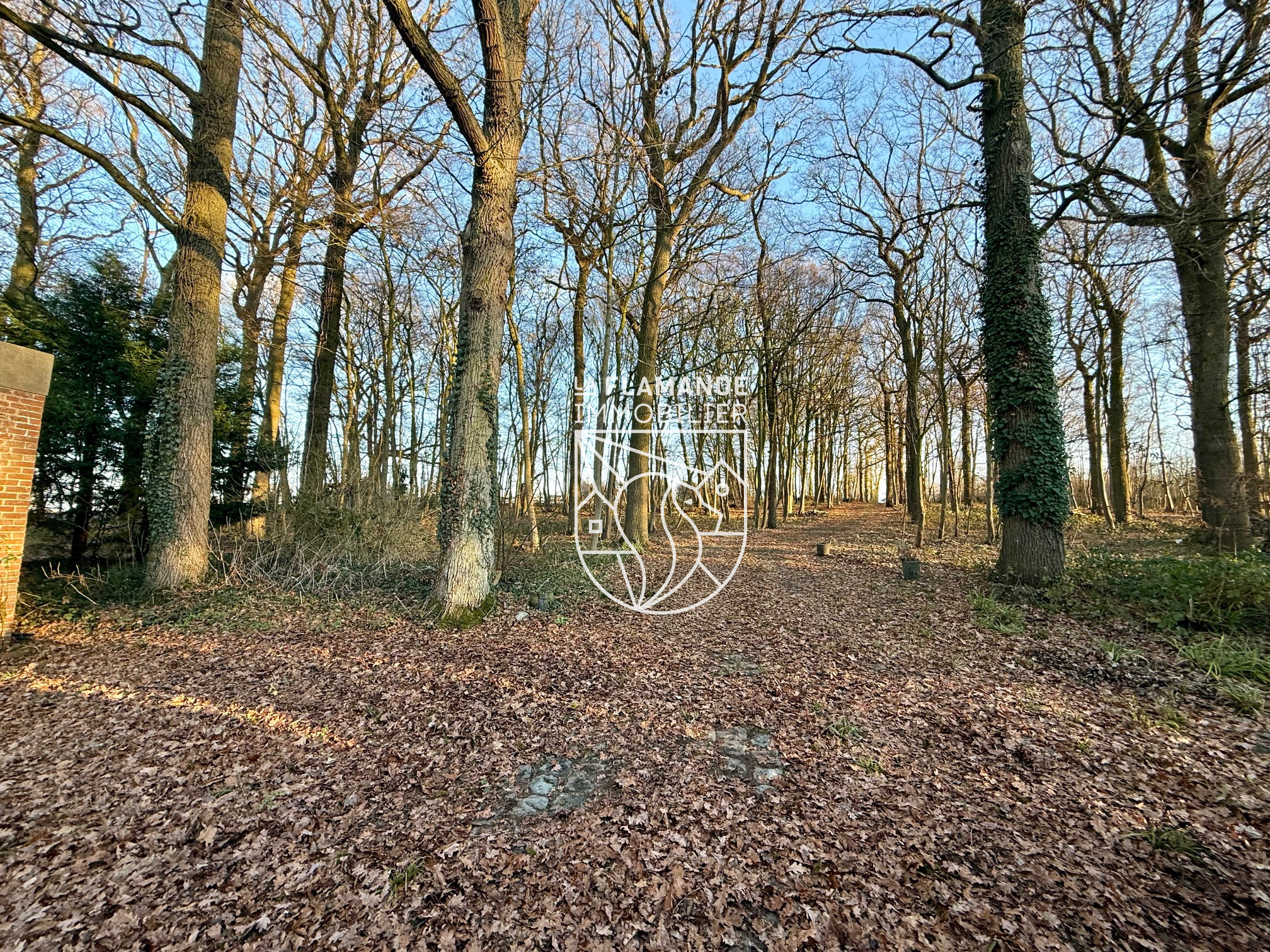 Illustration 1 Bois et terrain constructible