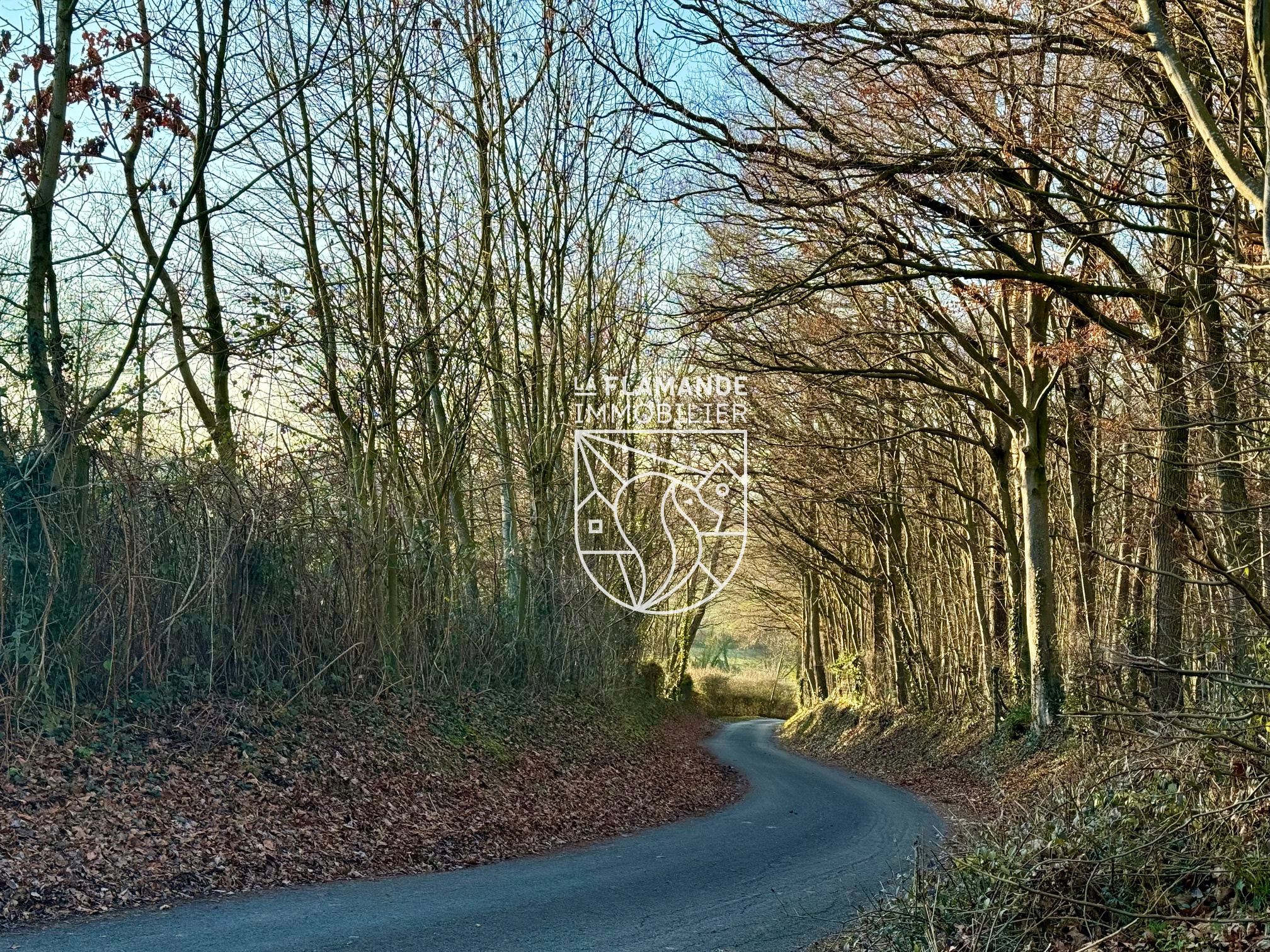 Illustration 3 Bois et terrain constructible