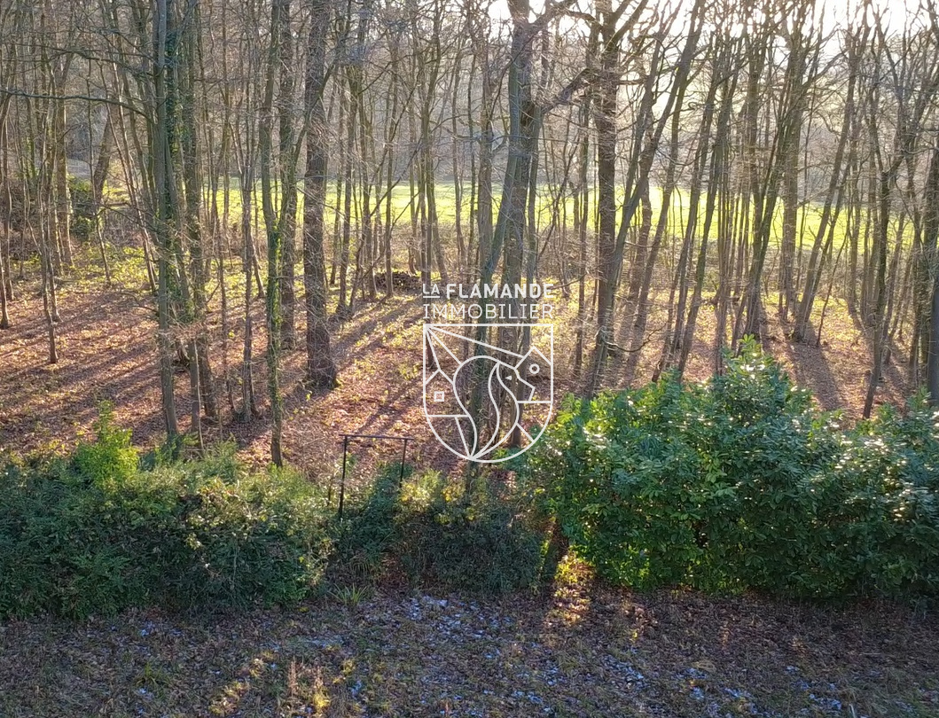 Illustration 0 Bois et terrain constructible