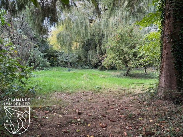 Illustration 16 Cassel-centre - 5 chambres - sur terrain de 2759m2