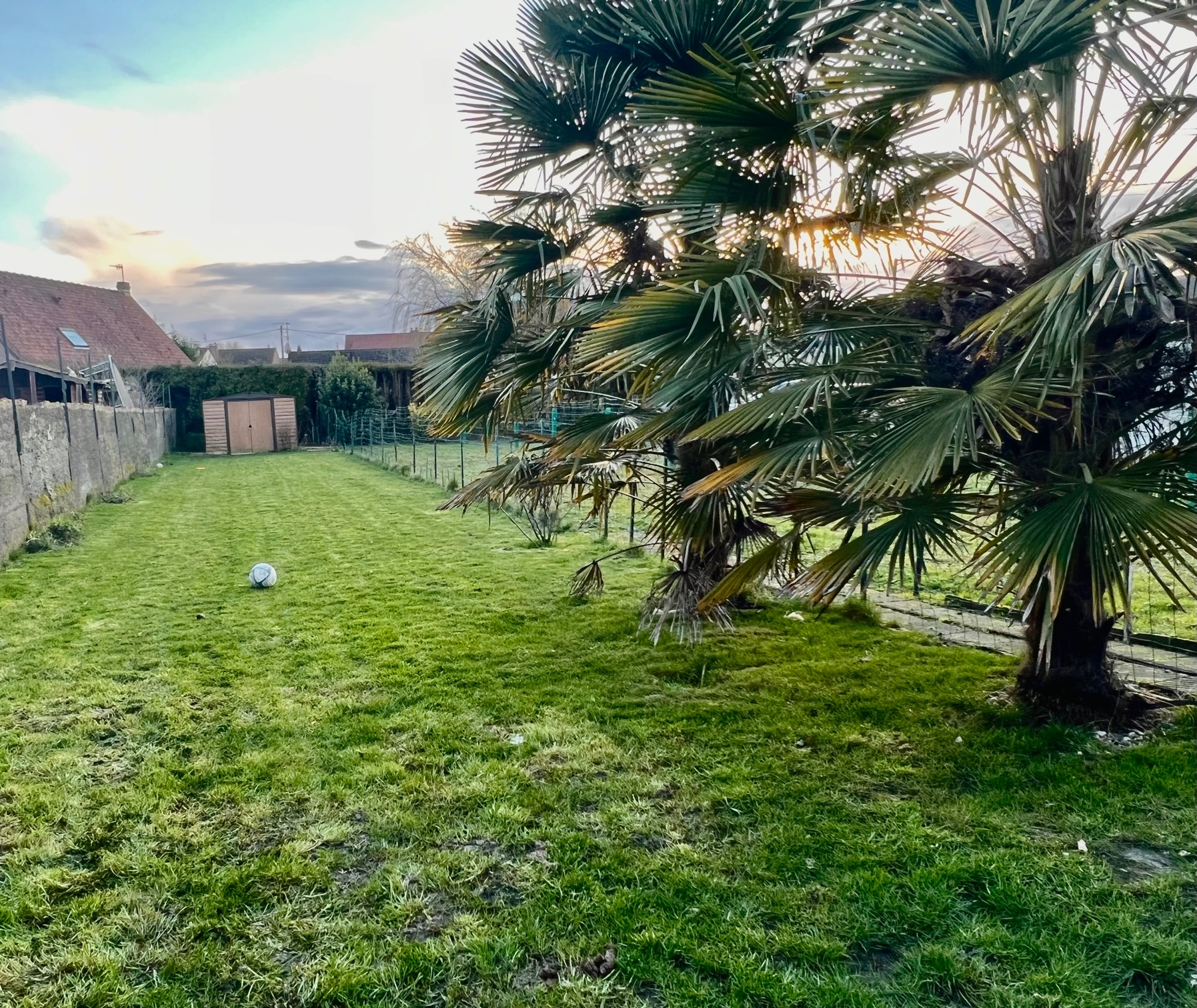 Illustration 13 VENDU