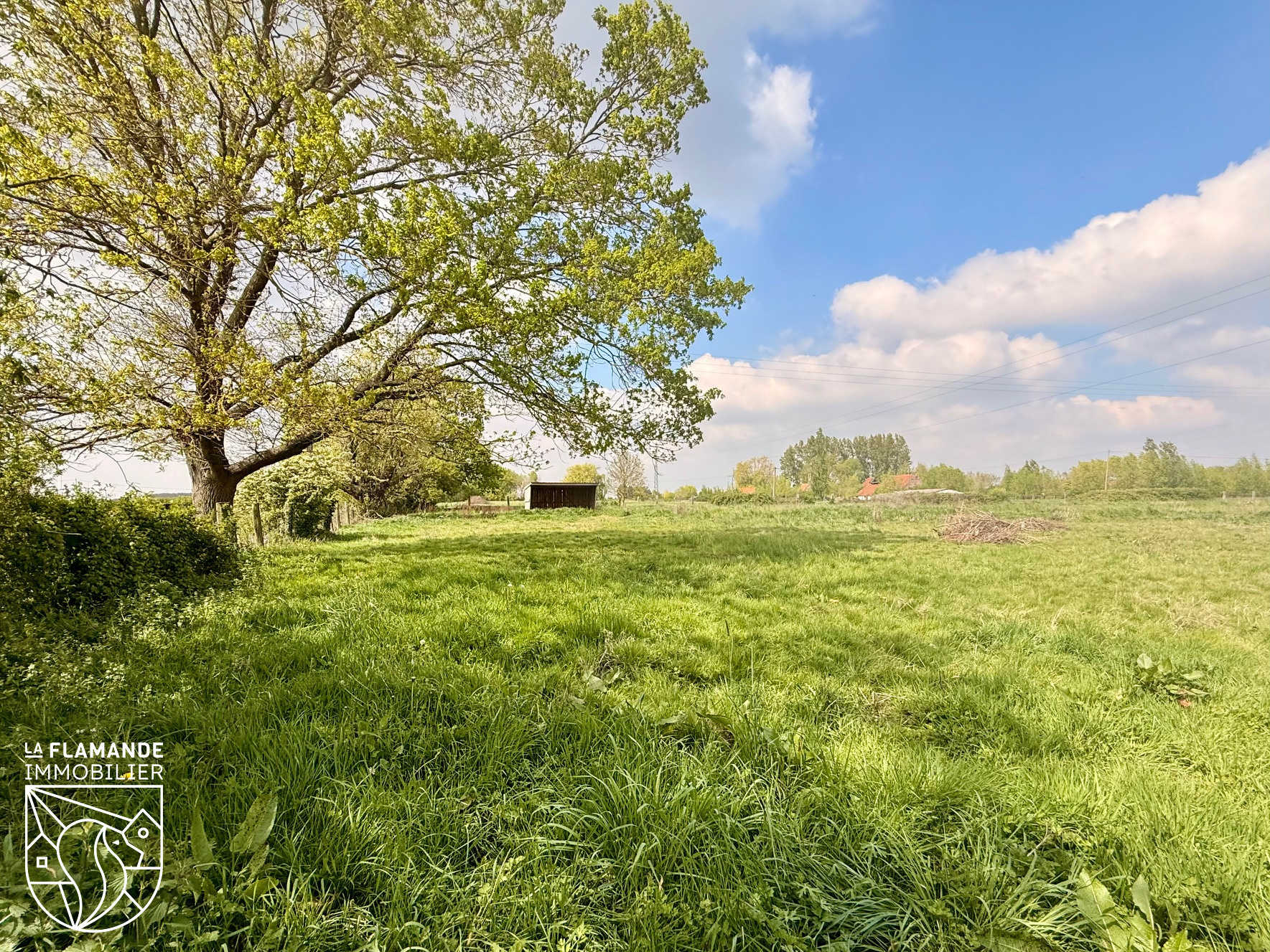 Illustration 13 Maison en semi-plain-pied sur 1,2 hectare