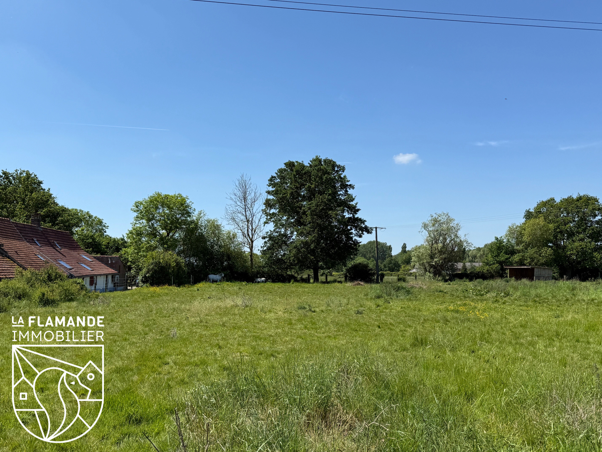 Illustration 4 Maison en semi-plain-pied sur 1,2 hectare