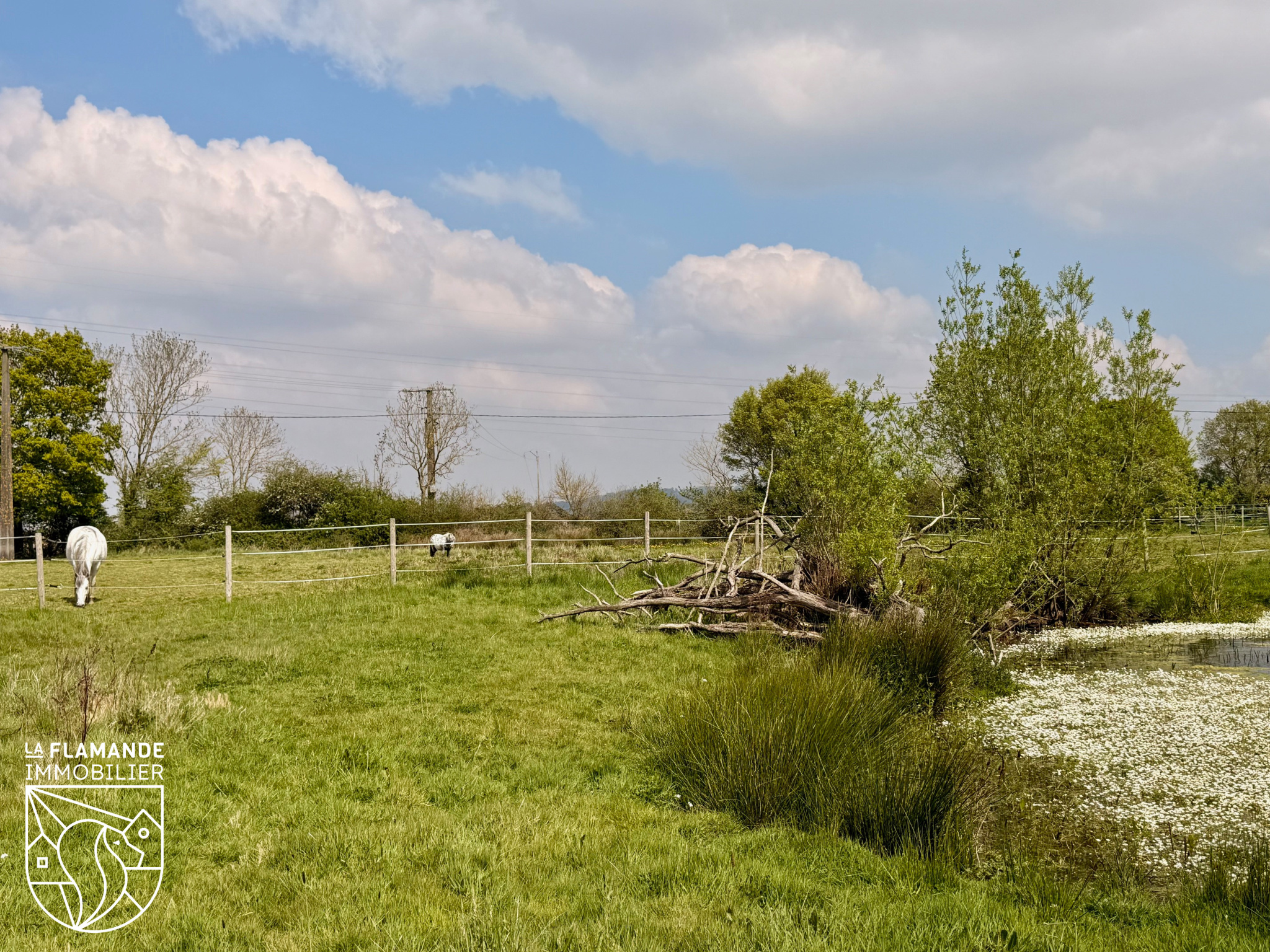 Illustration 14 Maison en semi-plain-pied sur 1,2 hectare