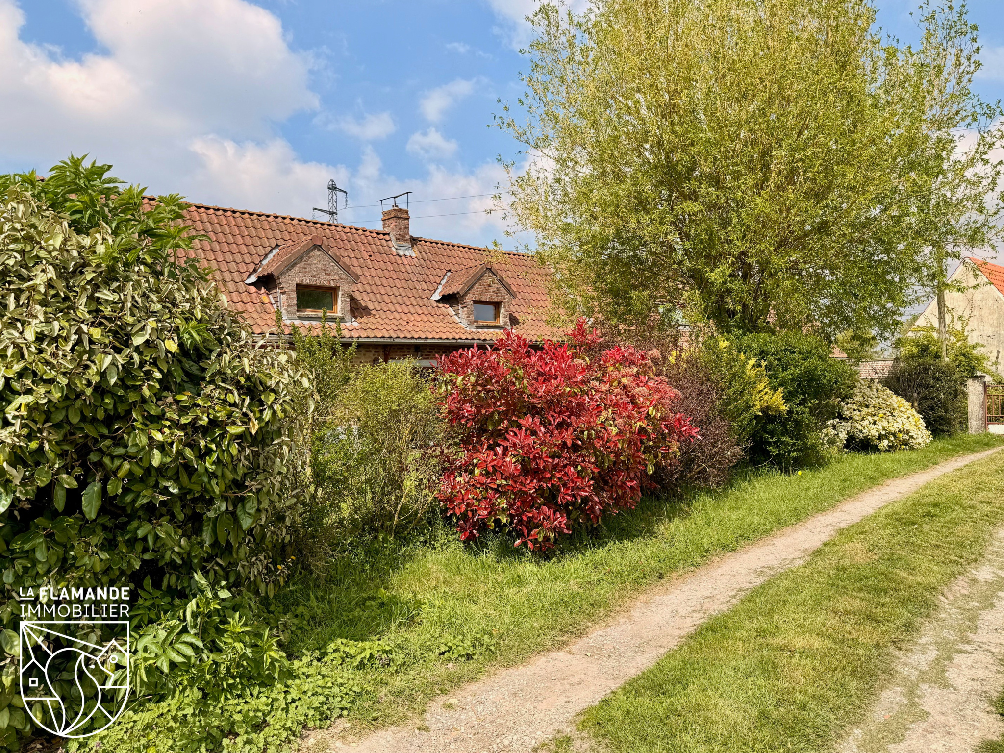 Illustration 12 Maison en semi-plain-pied sur 1,2 hectare