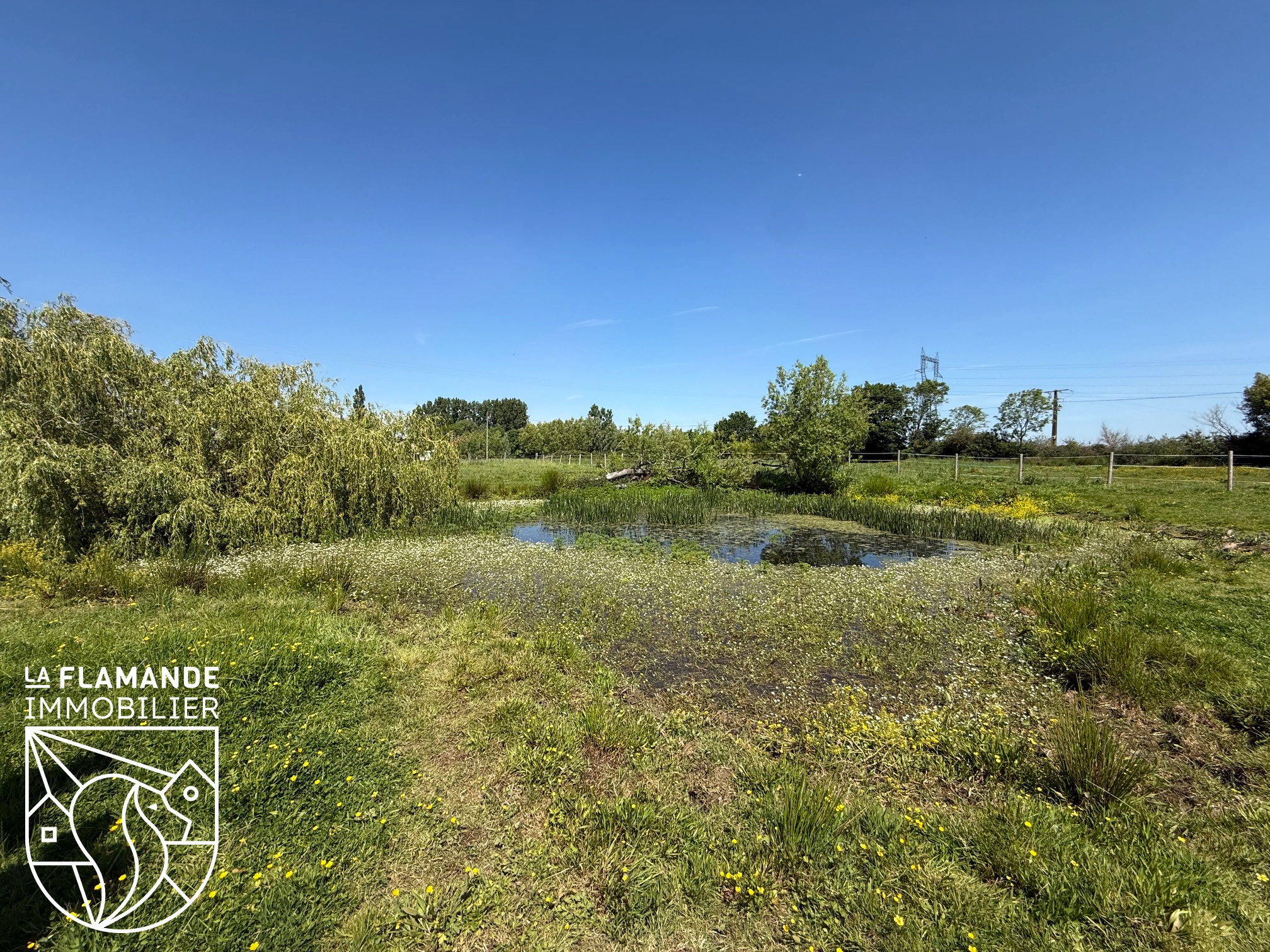 Illustration 14 Maison en semi-plain-pied sur 1,2 hectare