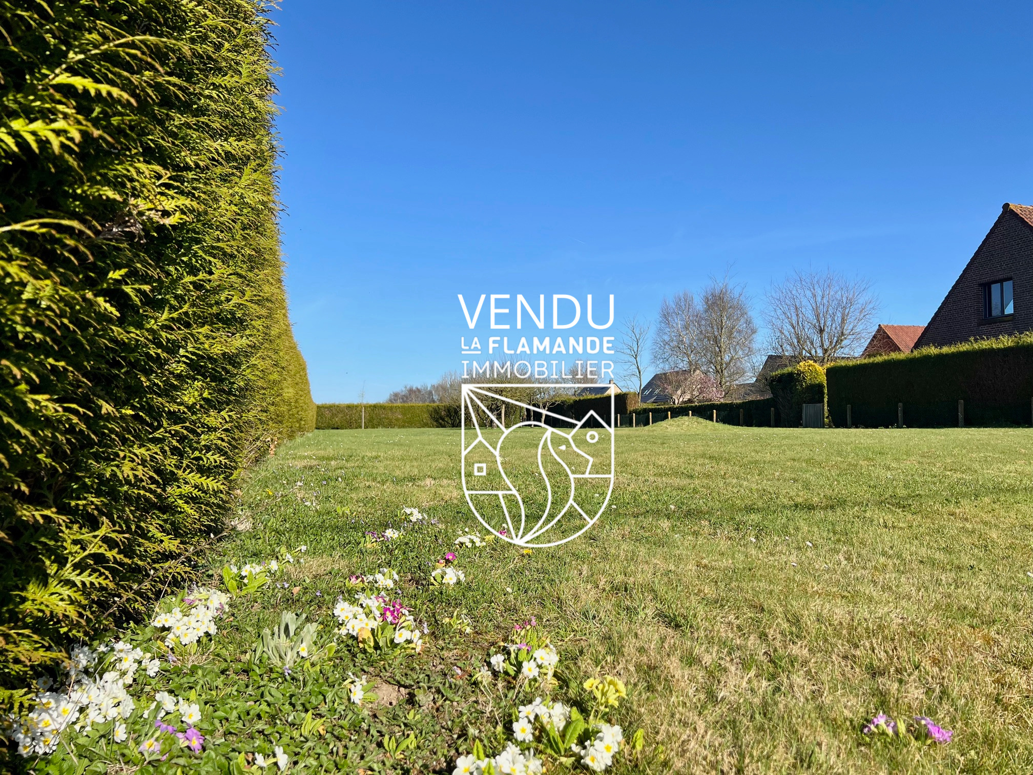 Illustration 0 VENDU