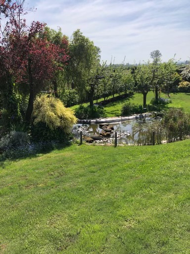 Illustration 2 VENDU